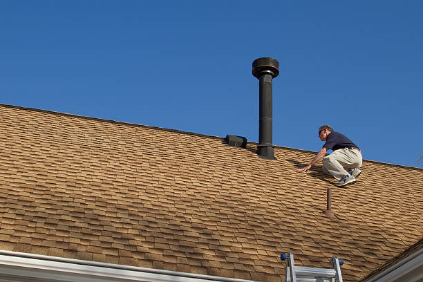 Best Green or Eco-Friendly Roofing Solutions  in Lasalle, IL